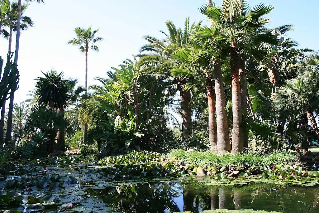 Hotel The Oasis By Don Carlos Resort (Adults Only) Marbella