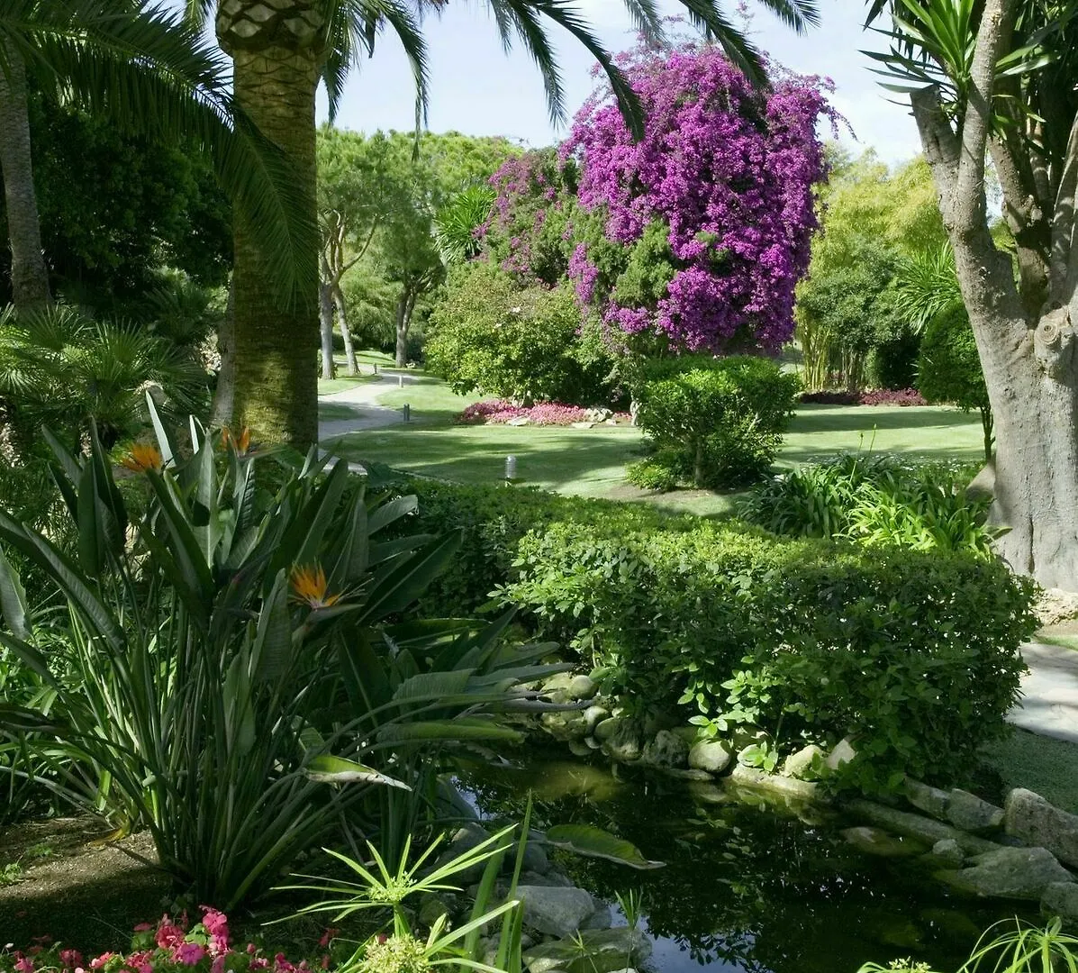 The Oasis By Don Carlos Resort (Adults Only) Marbella Hotel